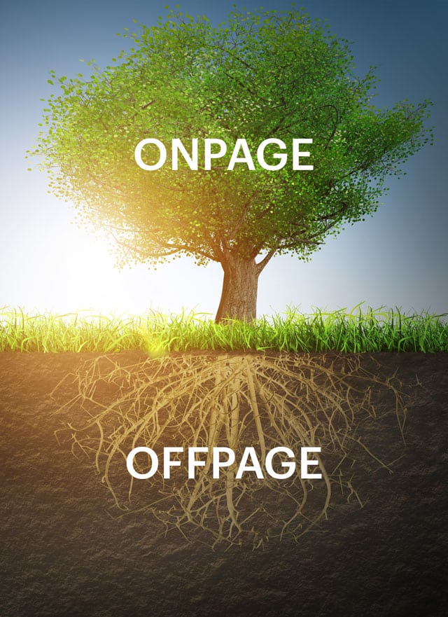 Vergleich zwischen Onpage SEO und Offpage SEO anhand eines Baums